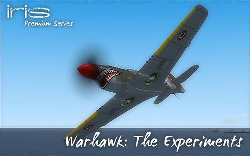 IRIS P-40_Warhawk_The_Experiments_FSX_33